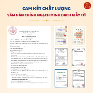 2G - Collagen Hồng sâm lựu Glutathione (10ml x 30stick) - Daedong