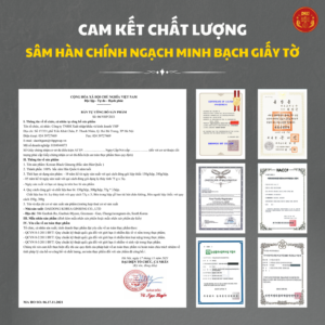 Hắc sâm Hàn Quốc dạng củ 300g (11-20củ) - DKG