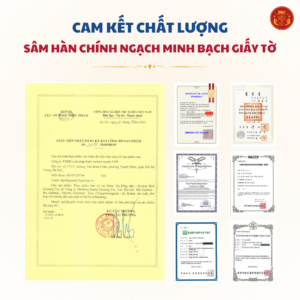 Trà hồng sâm Hàn Quốc DKG