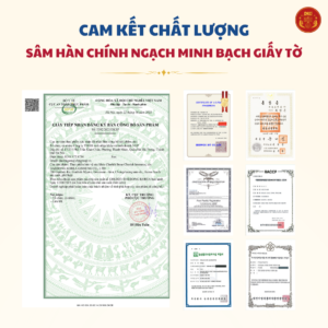 Bạch sâm bổ xương khớp DKG