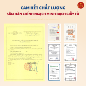 Cao hồng sâm Hàn Quốc 240g DKG