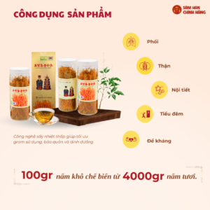 Đông trùng hạ thảo Militaris Hoàng Gia