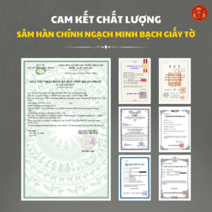 Hắc sâm HQ cao cấp 7mgg - DKG