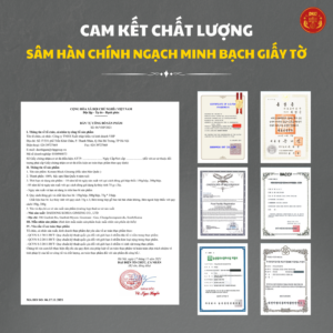 Hắc sâm Hàn quốc dạng củ 150g (6-10củ) - Daedong