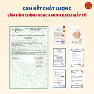 Hongsamjin Bichaek Hwanghu - Hồng sâm Hoàng Hậu