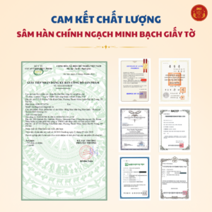 Hồng sâm nguyên củ mật ong Hàn Quốc