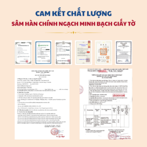 Nấm linh chi Hàn Quốc trọng lượng 500gr nhập khẩu chính ngạch