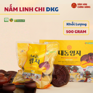 Nấm linh chi Hàn Quốc trọng lượng 500gr nhập khẩu chính ngạch