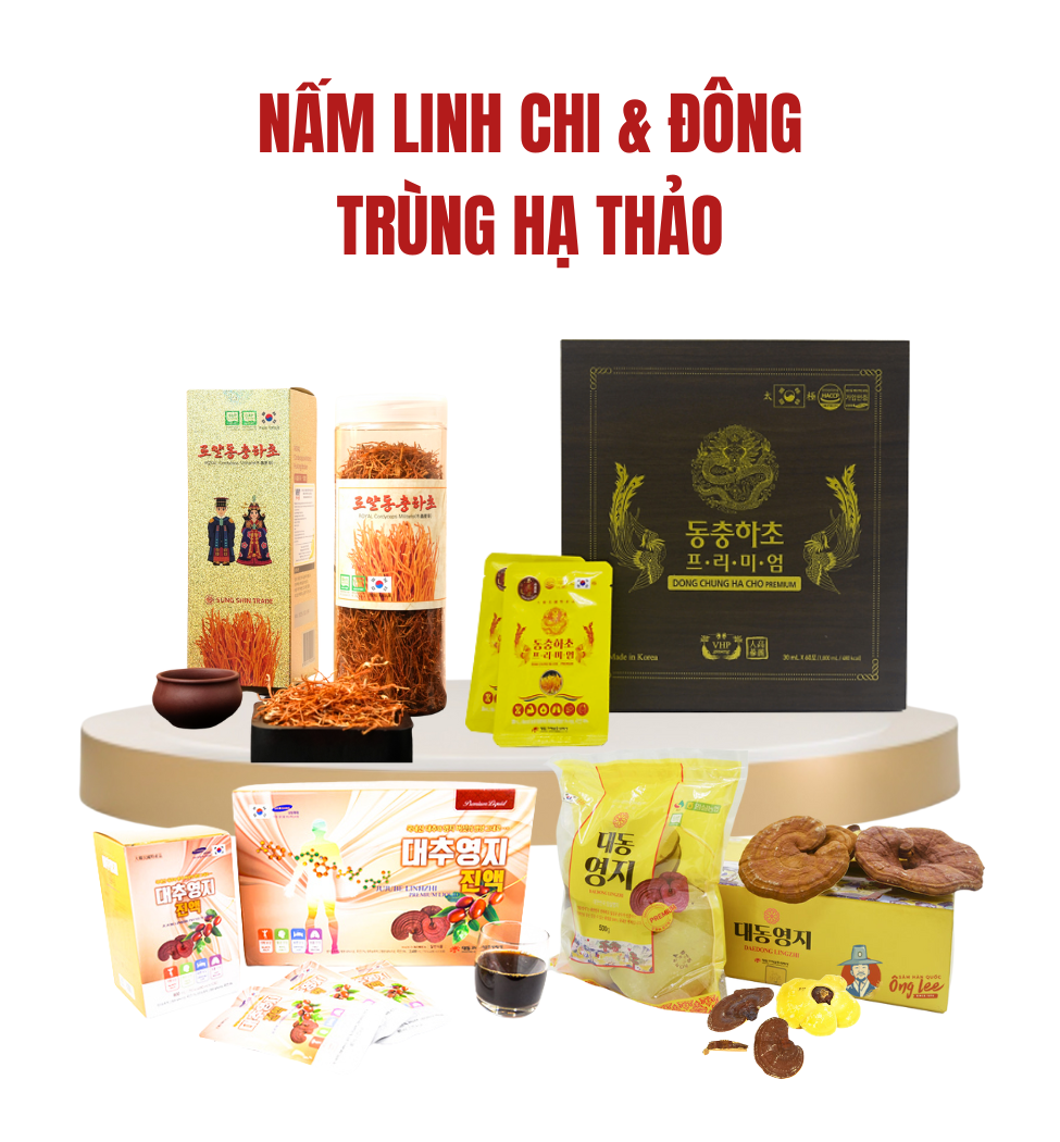Nấm linh chi và Đông trùng hạ thảo - Sâm Yến Hương Huệ
