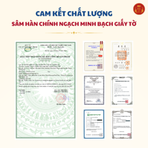 Tinh dầu thông đỏ Hoàng Gia