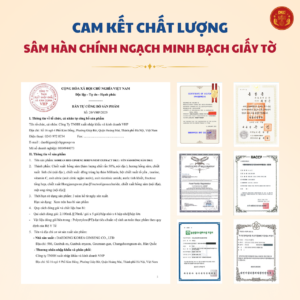 Nước yến sào hồng sâm DKG chính hãng