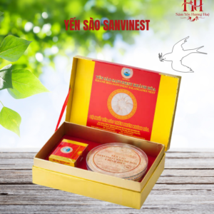 Yến sào Khánh Hòa nguyên tổ sơ chế 50g chính hiệu Sanvinest